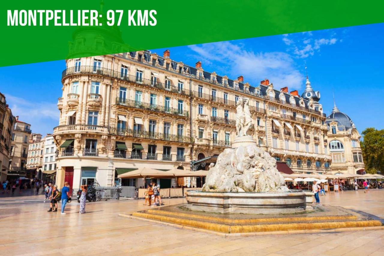 Au Roi Rene - Ac Clim - Wifi Apartment Avignon Bagian luar foto