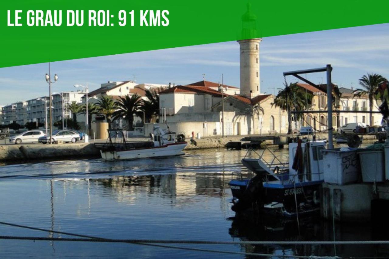 Au Roi Rene - Ac Clim - Wifi Apartment Avignon Bagian luar foto